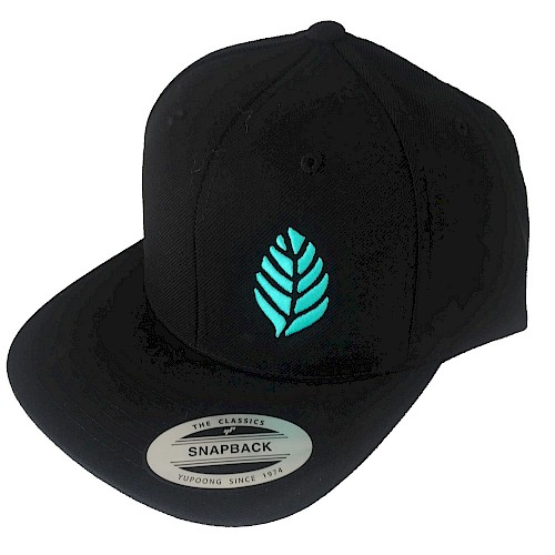 Mit den stylischen Snapback-Caps und ihrem blauen MINTANINE-Stick ist euch Aufmerksamkeit garantiert!